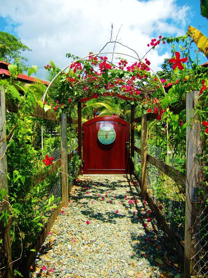 בוקס דל טורו Casa Abundancyah B&B מראה חיצוני תמונה