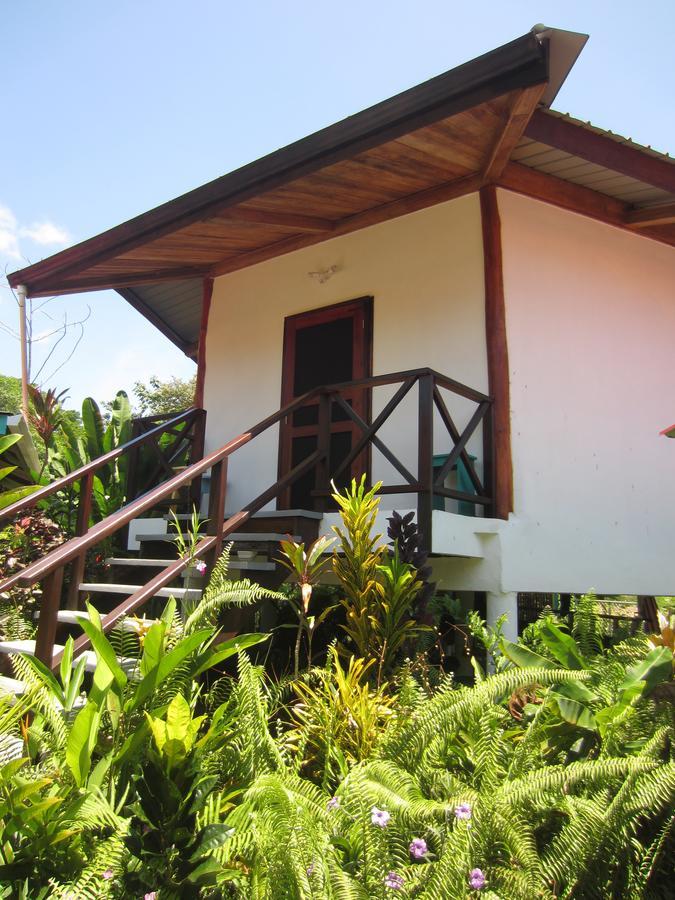 בוקס דל טורו Casa Abundancyah B&B מראה חיצוני תמונה